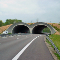 Grünbrücke über die Bundesstraße B 2 neu zur Verbindung der Lech-Auen bei Stettenhofen, Landkreis Augsburg, Schwaben Grünbrücke über die Bundesstraße B 2 neu zur Verbindung der Lech-Auen bei Stettenhofen, Landkreis Augsburg, Schwaben