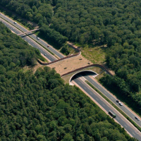 Grünbrücke über die Autobahn A 7 Fulda-Würzburg bei Oberthulba, Landkreis Bad Kissingen Grünbrücke über die Autobahn A 7 Fulda-Würzburg bei Oberthulba, Landkreis Bad Kissingen